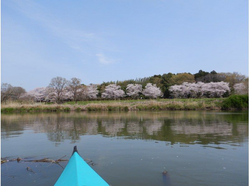 【福岡堰 小貝川／つくばみらい／茨城 関東】花見名所で桜お花見ウォーク&パックラフトカヌー体験　☆ゆるやか川下り体験で優雅なお花見！の紹介画像
