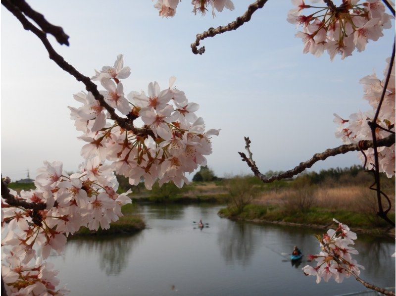 【福岡堰 小貝川／つくばみらい／茨城 関東】花見名所で桜お花見ウォーク&パックラフトカヌー体験　☆ゆるやか川下り体験で優雅なお花見！の紹介画像
