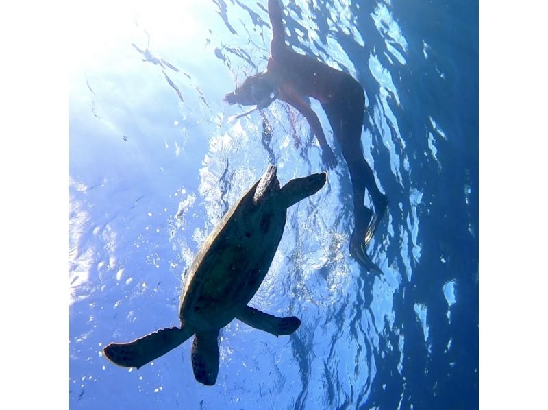 [Kagoshima / Amami Oshima] [World Natural Heritage / Amami's Most Beautiful Tomori Beach / Blue Cave Impressive Snorkeling & Mangrove Canoe Tour] Gopro Video Very Popular!の紹介画像