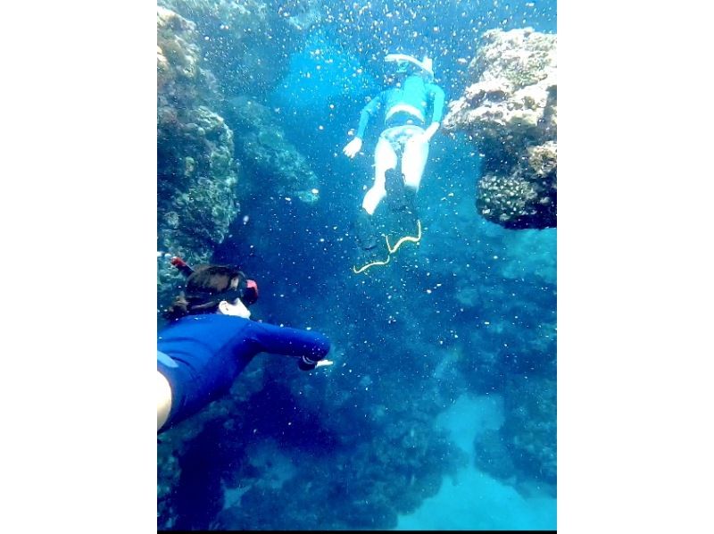 【鹿児島・奄美大島】【世界自然遺産・奄美の美しい土盛海岸・青の洞窟感動シュノーケリング＆マングローブカヌーツアー】