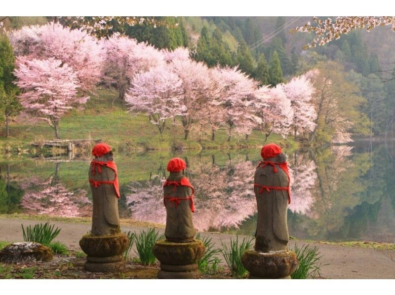 [長野 / 大町市賞櫻 / 櫻花物語] Insta &hearts; ♡ Love (Dark) 粉紅櫻花金鈴賞櫻巡遊 / 傳說中的中綱湖清新綠巡遊の紹介画像