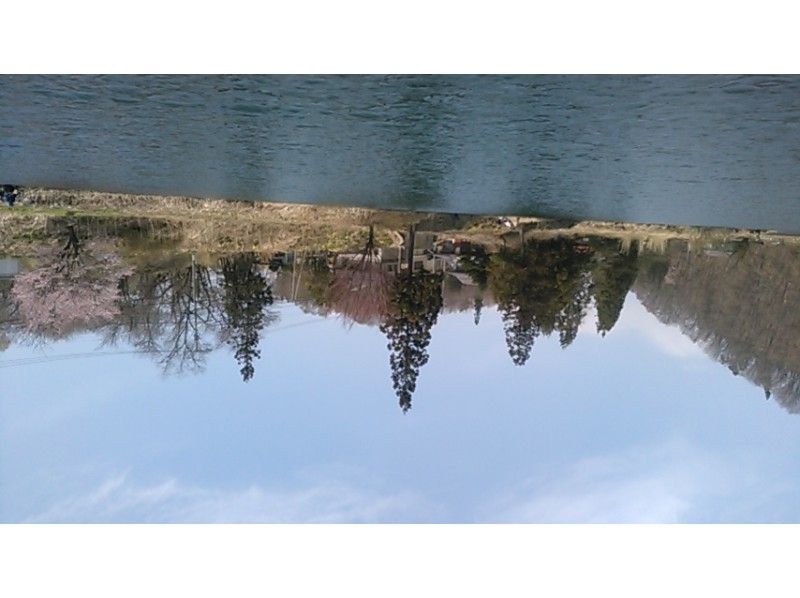 [長野 / 大町市賞櫻 / 櫻花物語] Insta &hearts; ♡ Love (Dark) 粉紅櫻花金鈴賞櫻巡遊 / 傳說中的中綱湖清新綠巡遊の紹介画像