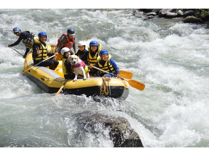 [Here's some super fun rafting in Gunma/Minakami!] The season is in full swing! Rapids rafting!!の紹介画像