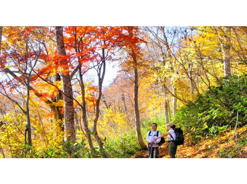 [Trekking] Day return Oze plan (up to 8 participants per one guide)の紹介画像