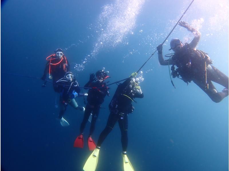 [Chiba Katsuura boat diving Katsuura Diving Resort or Namekawa diving services [2] Diveの紹介画像