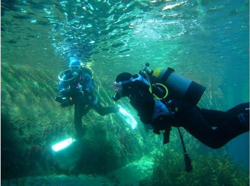 マイダイブ MyDiveの割引プラン