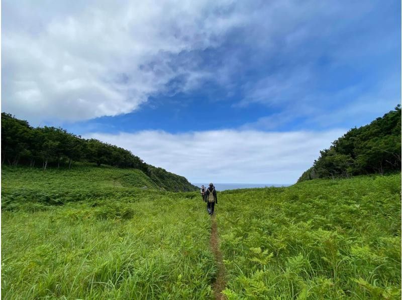 [Hokkaido ・ Shiretoko] Copy of forest walk superb view plan [with free transfer]の紹介画像