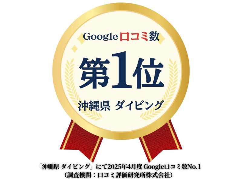 2025年4月度Google口コミ数「沖縄ダイビング」1位！那覇発・半日・慶良間諸島・海ガメに逢える!?カメラレンタル付！体験ダイビング２回の紹介画像
