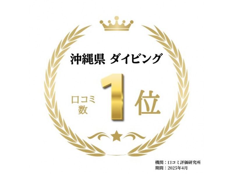 2025年4月度Google口コミ数「沖縄ダイビング」1位！那覇発・半日・慶良間諸島・海ガメに逢える!?カメラレンタル付！体験ダイビング２回の紹介画像