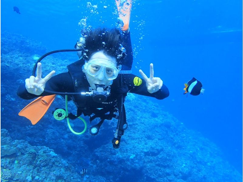 GoTo提供区域通用优惠券！免费租借相机！海龟遭遇率很高！国家指定公园，喀拉马群岛半日游体验潜水！ （2次潜水）の紹介画像