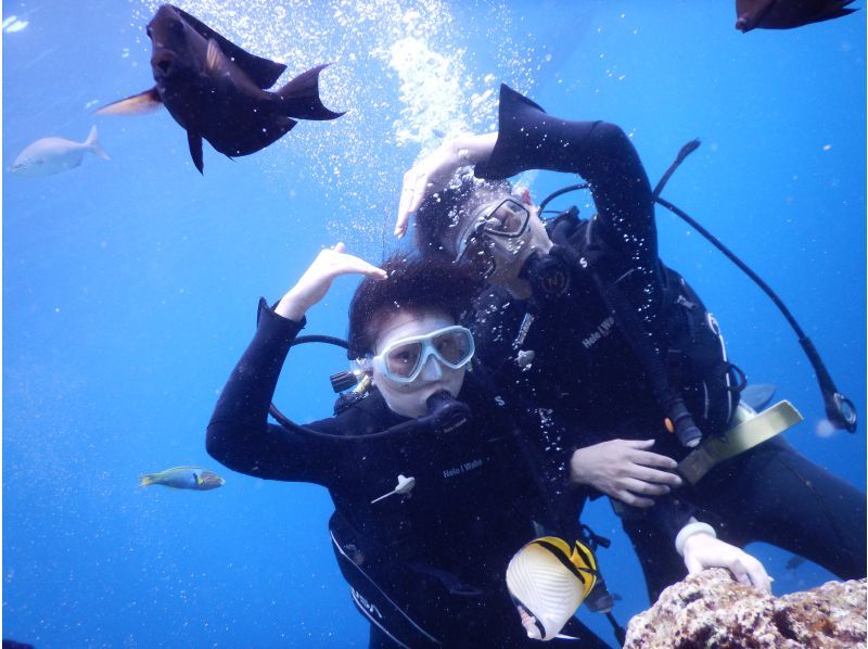 2025年4月度Google口コミ数「沖縄ダイビング」1位！那覇発・半日・慶良間諸島・海ガメに逢える!?カメラレンタル付！体験ダイビング２回の紹介画像