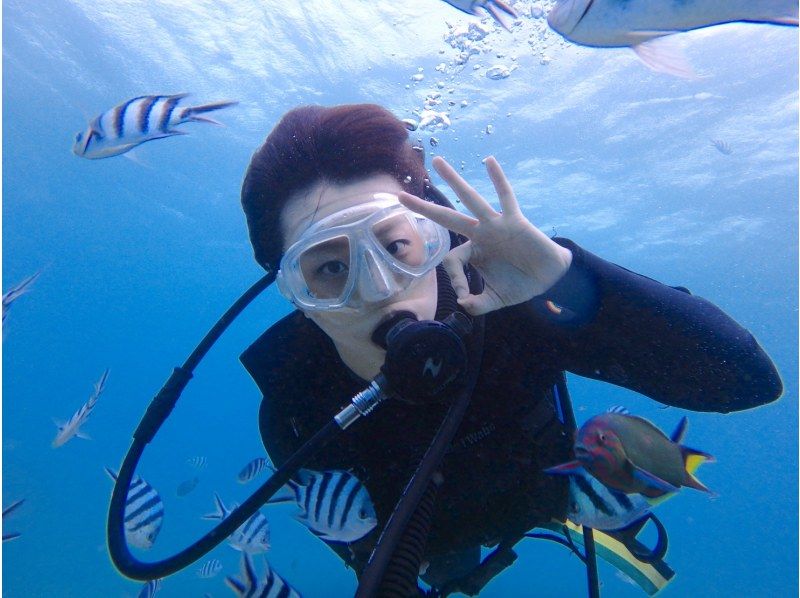 GoTo regional common coupons available! Free camera rental! Sea turtle encounter rate is high! National designated park, Kerama Islands half-day experience diving! (2 dives)の紹介画像