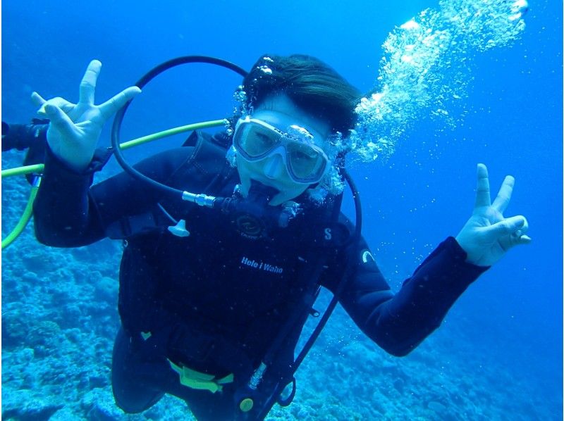 Kerama Islands half-day 2 experience diving! GoTo regional common coupons! National designated park!