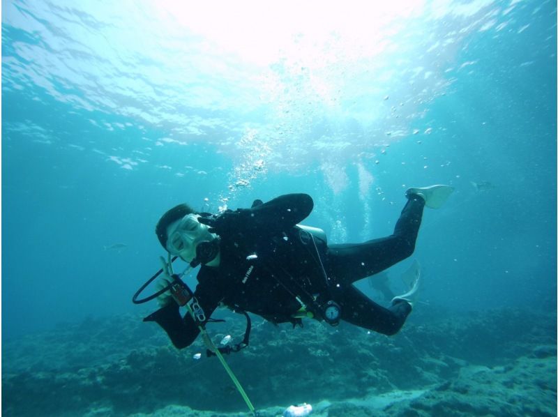 GoTo regional common coupons available! Free camera rental! Sea turtle encounter rate is high! National designated park, Kerama Islands half-day experience diving! (2 dives)の紹介画像