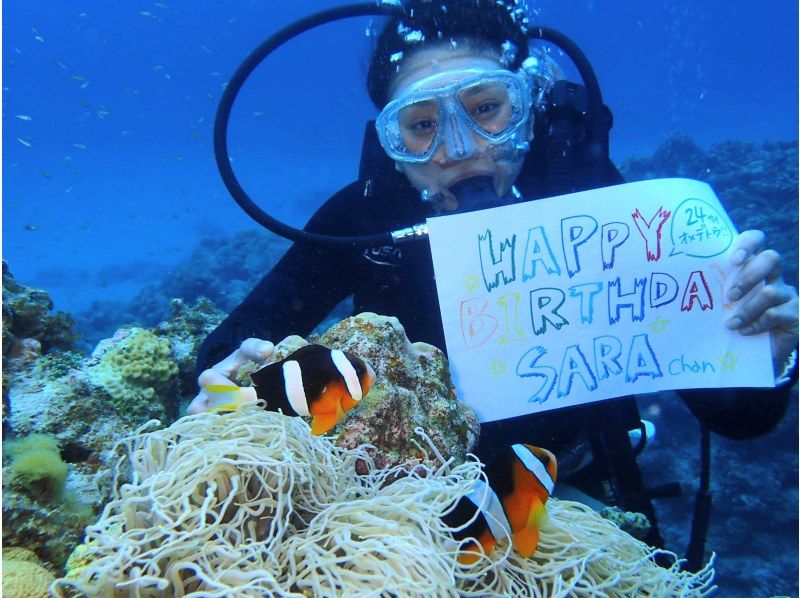 GoTo regional common coupons available! Free camera rental! Sea turtle encounter rate is high! National designated park, Kerama Islands half-day experience diving! (2 dives)の紹介画像