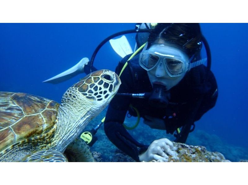 camera Rental free! Bare at the sea turtle! Diving(National designated park Kerama Islands course)の紹介画像