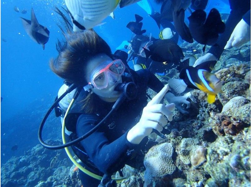 スプリングキャンペーン【那覇発・半日・慶良間諸島】海ガメに逢える!?カメラレンタル付！初心者体験ダイビング（国立指定公園慶良間諸島コース）の紹介画像