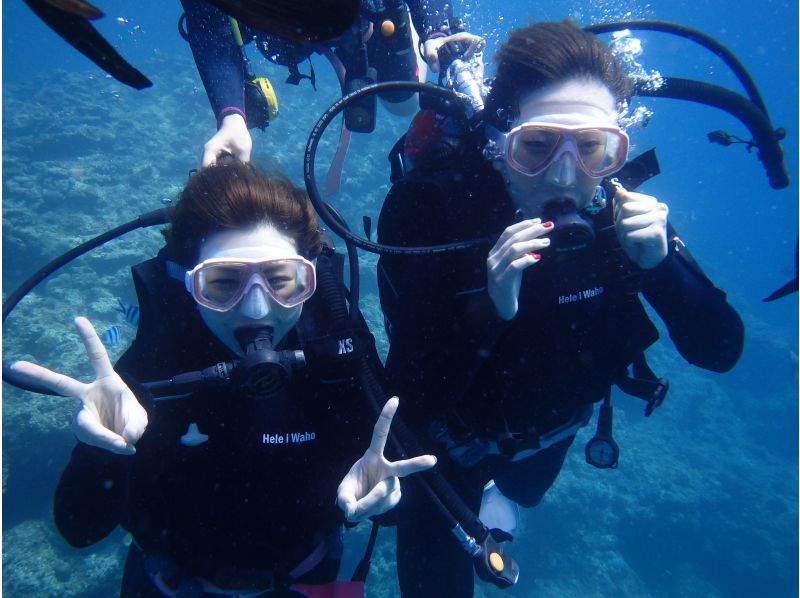 camera Rental free! Bare at the sea turtle! Diving(National designated park Kerama Islands course)の紹介画像