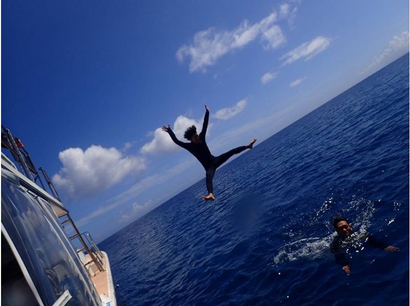 camera Rental free! Bare at the sea turtle! Diving(National designated park Kerama Islands course)の紹介画像