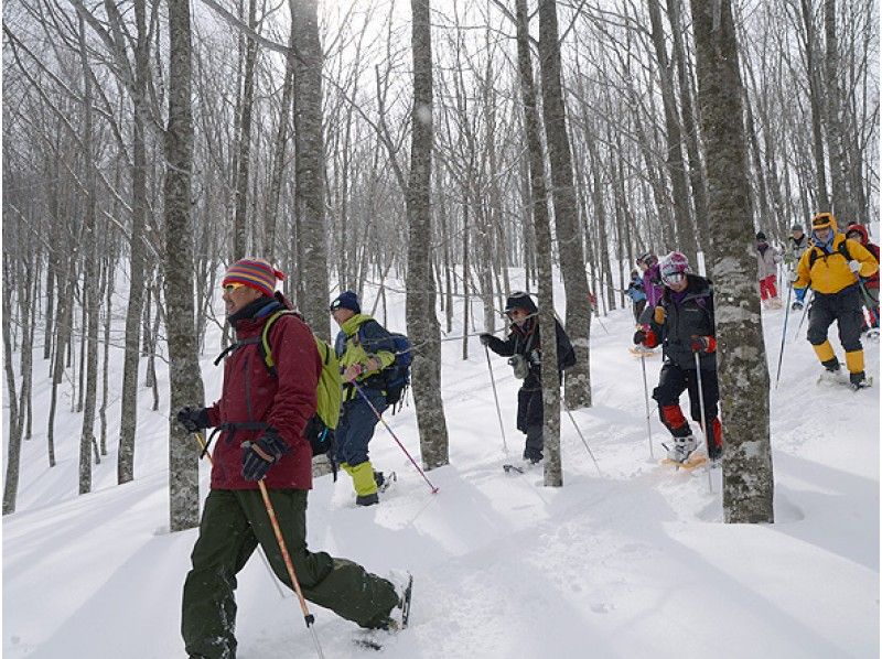長野 スノーシュー体験 装備レンタル可 絶景コース多数 初心者おすすめ日帰りスノートレッキング体験ツアープラン 開催ショップ情報 アクティビティジャパン