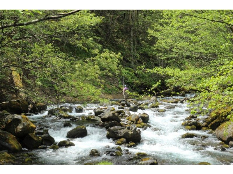 【北海道・十勝川】源流でイワナを狙う！渓流釣り体験「1日コース」の紹介画像