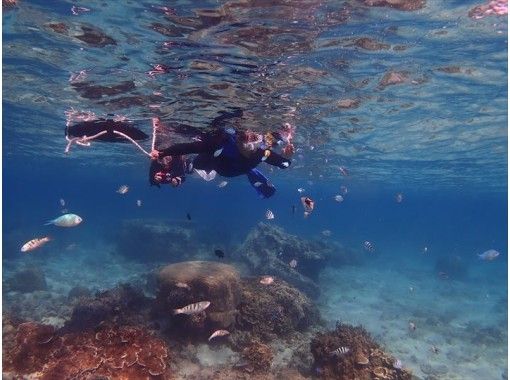 沖縄南部 糸満 那覇空港から30分 天然ビーチシュノーケル １グループ貸切 ４歳 ７０歳ok アクティビティジャパン