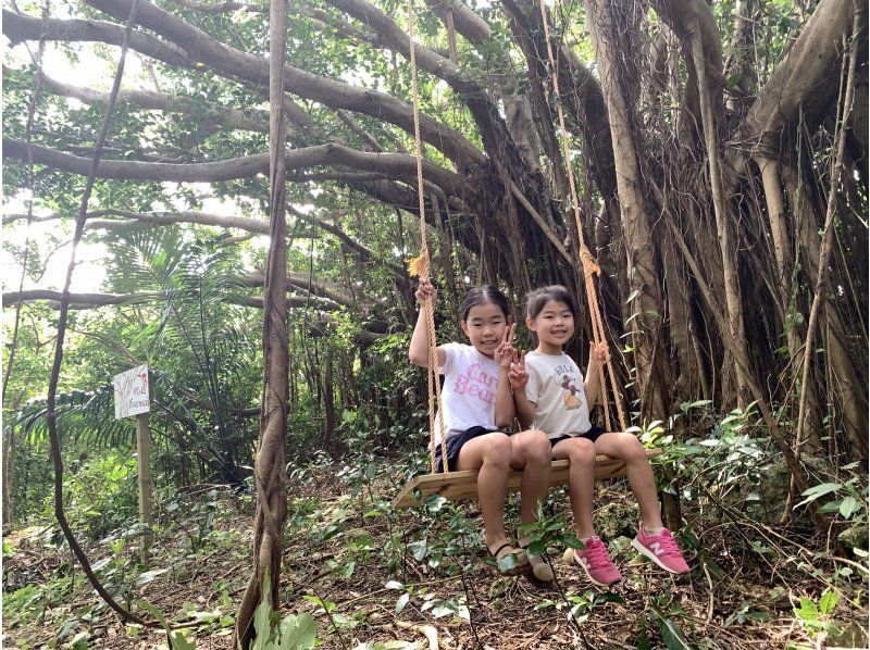 Super Summer Sale 2024 [Okinawa Southern Itoman] Jungle Buggy Adventure Ages 4 and up OK ☆ 30 minutes from Naha Airport! You can play on the first and last days of your tripの紹介画像