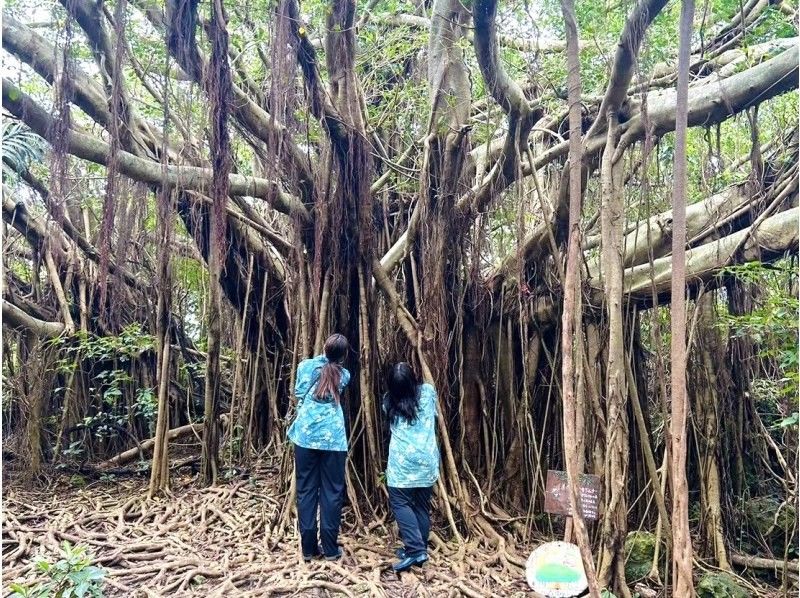 【沖縄 南部 糸満】ジャングルバギー探検！那覇空港〜30分／家族・お友達とわくわく体験♪ 運転が不安な方でもガイドが優しく安心サポートの紹介画像