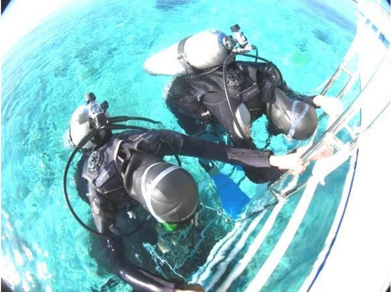 [Okinawa ・ Ishigaki island]half-day Experience plan (morning, afternoon) [experience]Diving]の紹介画像