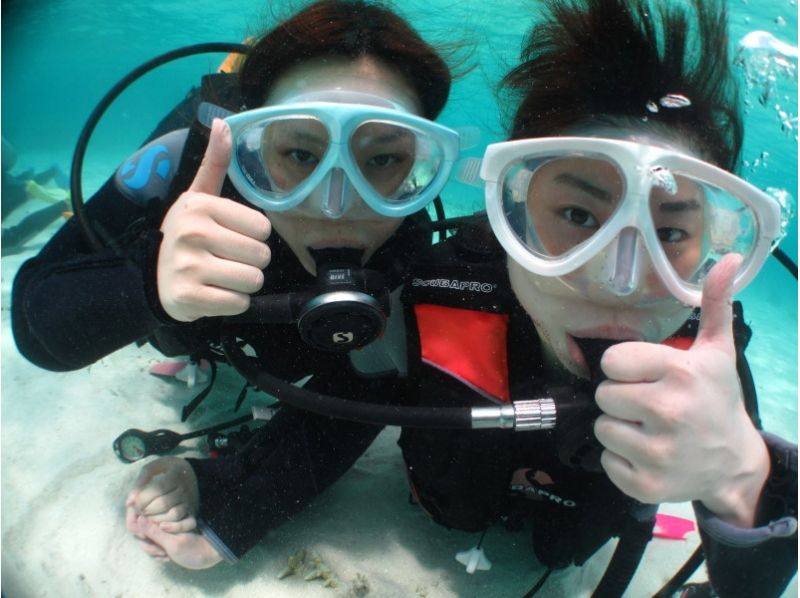 [Okinawa ・ Ishigaki island]half-day Experience plan (morning, afternoon) [experience]Diving]の紹介画像