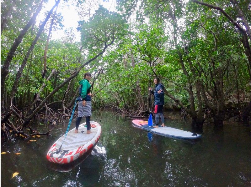 SALE!【石垣島・SUP】1グループ完全貸切保証！マングローブの森をSUPで冒険！ジャングルクルーズに出発！！の紹介画像