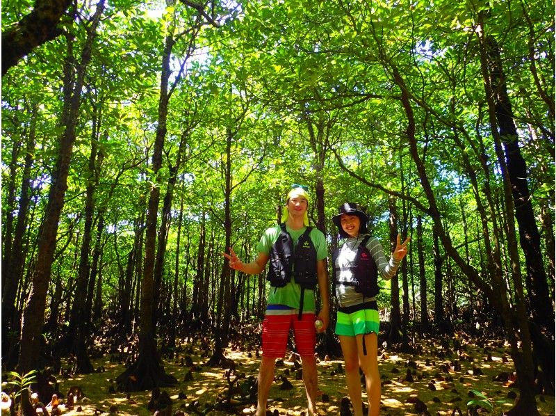 [Ishigaki Island / Charter] 1 group complete charter guarantee! Adventure in the mangrove forest with SUP! Depart for a jungle cruise! !!の紹介画像
