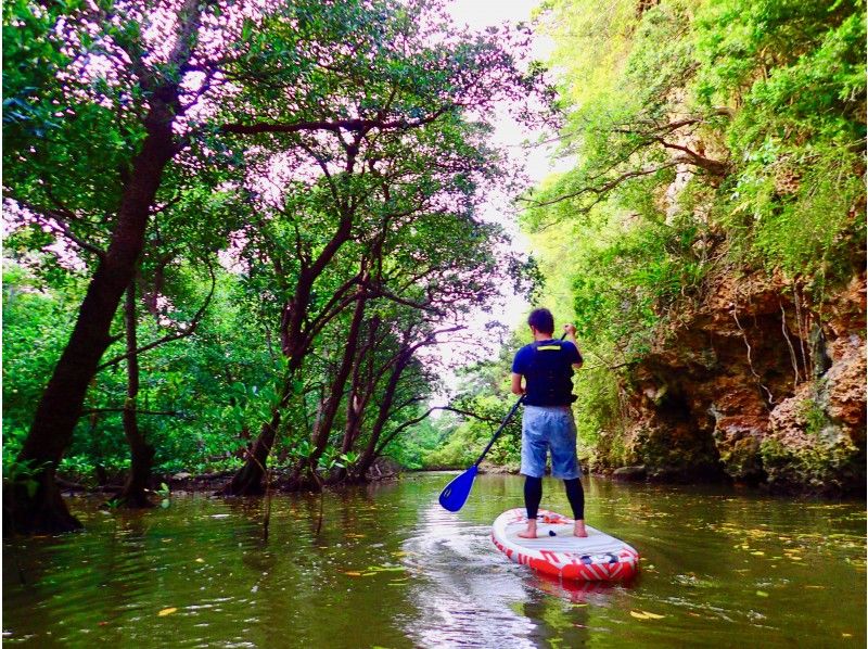 SALE!【石垣島・SUP】1グループ完全貸切保証！マングローブの森をSUPで冒険！ジャングルクルーズに出発！！の紹介画像