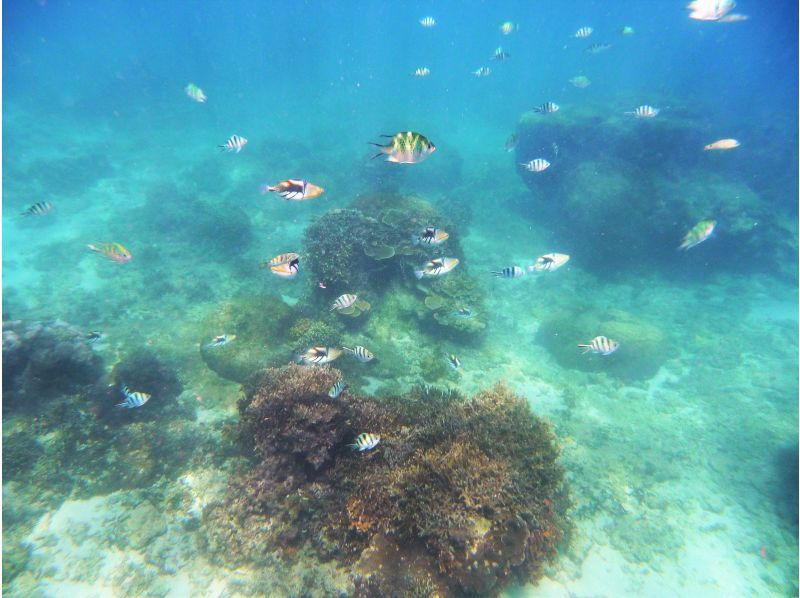 [Okinawa main island southern part of Itoman 2 persons -Year being held! Easy Snorkeling] Comfortable with hot water shower and Changing room!の紹介画像