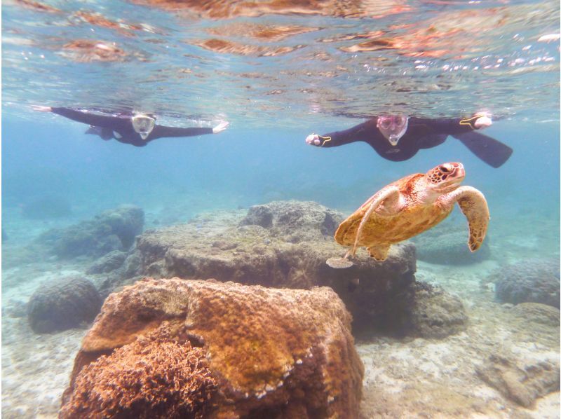 [오키나와본섬 남부 이토 만 2 명 ~ 연중 개최! 손쉽게스노클링】 온수샤워&middot;탈의실완비로 쾌적!の紹介画像