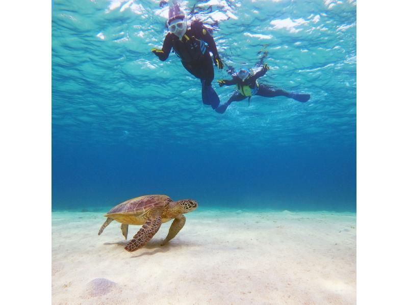 [奄美海龟浮潜]遇到率90％以上☆因为每组有一个指南，所以对初学者和小孩来说是安全的！の紹介画像
