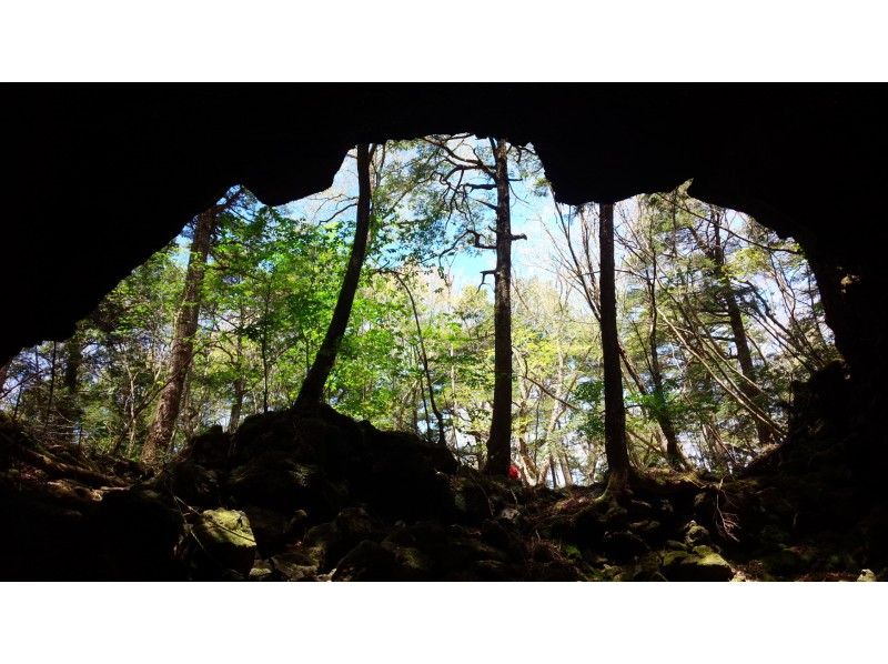青木ヶ原樹海・知られざる天然洞窟体験（手話対応）の紹介画像