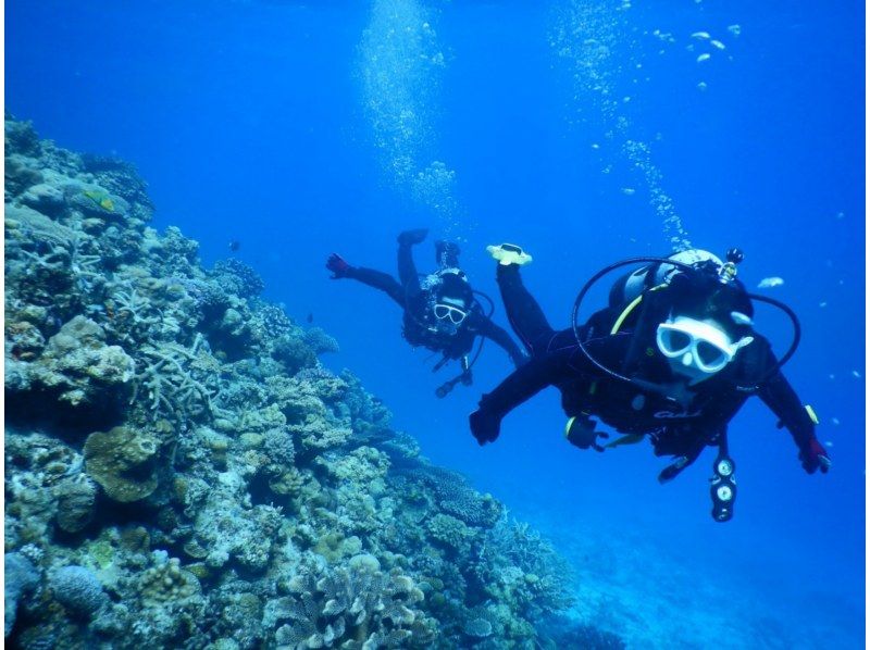 [Okinawa, Minna Island, Sesoko Island] Boat Fun Diving (2 dives) Photo and video shoot giftの紹介画像