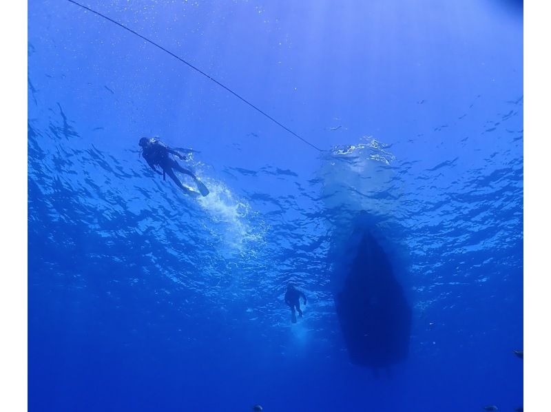 SALE !【沖縄・水納島・瀬底島】ボートファンダイビング（２ダイブ）写真動画撮影プレゼントの紹介画像