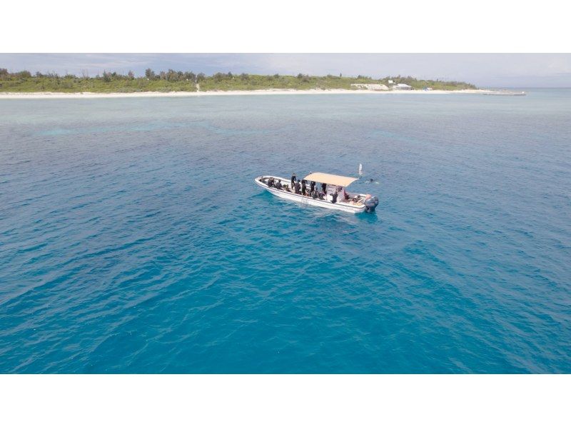 SALE! [Okinawa, Minna Island, Sesoko Island, Nakijin, Manza Area] Boat Fun Diving (2 Dives) Photo and Video Shooting Giftの紹介画像