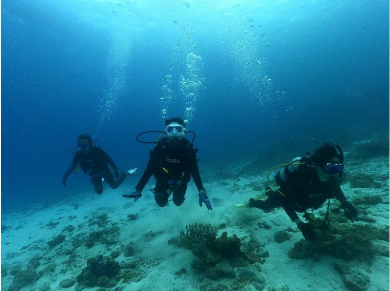 [Okinawa, Minna Island, Sesoko Island] Boat Fun Diving (2 dives) Photo and video shoot giftの紹介画像