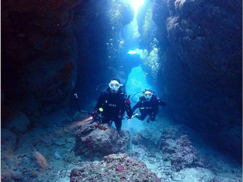 SALE! [Okinawa, Minna Island, Sesoko Island] Boat Fun Diving (2 dives) Photo and video shoot giftの紹介画像