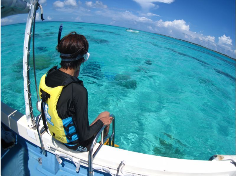 [โอกินาว่า・ เกาะอิชิงากิ】การดำน้ำตื้น(Snorkeling)แผนประสบการณ์ครึ่งวัน (เช้า / บ่าย)の紹介画像