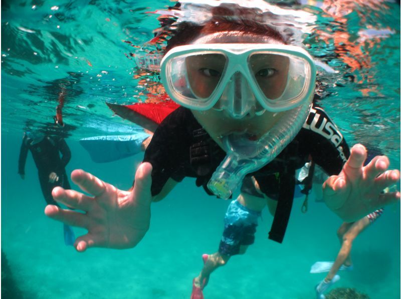 [โอกินาว่า・ เกาะอิชิงากิ】การดำน้ำตื้น(Snorkeling)แผนประสบการณ์ครึ่งวัน (เช้า / บ่าย)の紹介画像