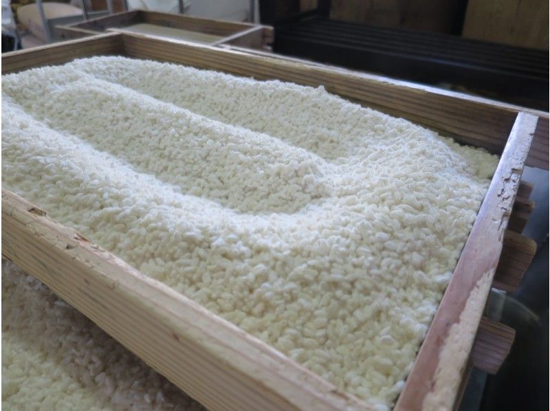 【東京・浅草】糀と発酵が支えるヘルシーな伝統和食の秘密「生味噌と甘糀」を体験する！の紹介画像