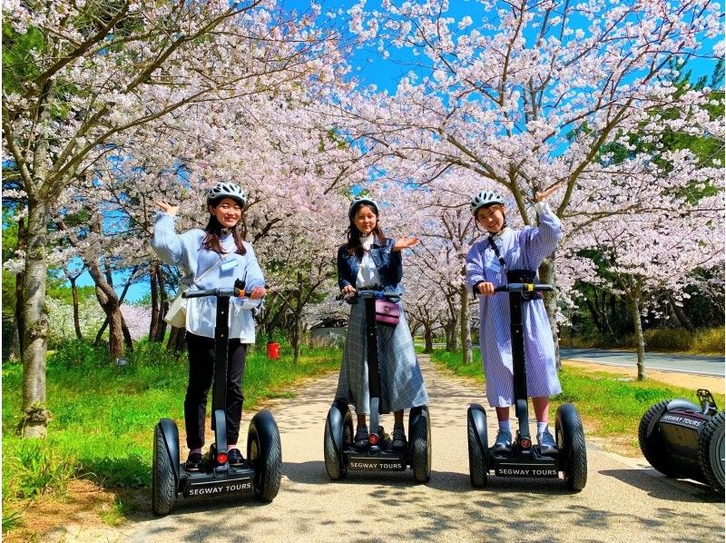 【福岡・海の中道】広大な海の中道海浜公園でセグウェイ体験！自然、海、歴史、お花見も！セグウェイに乗ってガイドがご案内します！の紹介画像