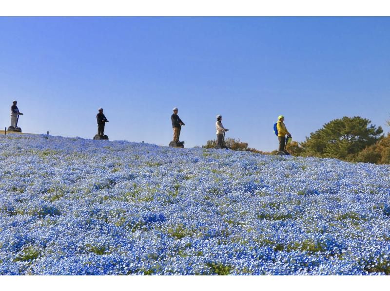 [福岡-福岡市]海風海中島海濱公園賽格威遊覽（2小時30分鐘）の紹介画像