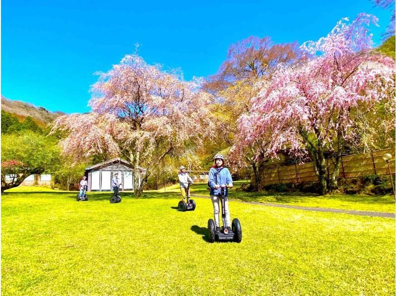 【神奈川・箱根・九頭龍の森】箱根芦ノ湖セグウェイツアー・鎮守の森で自然体験、春は桜でお花見も♪（2時間30分）の紹介画像