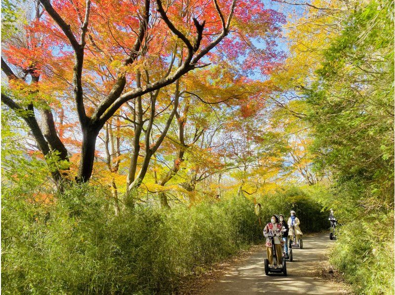 【神奈川・箱根・九頭龍の森】箱根芦ノ湖セグウェイツアー・鎮守の森で湖を眺めすすむ自然体験♪（2時間30分）の紹介画像