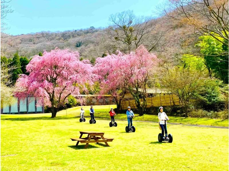 【神奈川・箱根・九頭龍の森】箱根芦ノ湖セグウェイツアー・鎮守の森で自然体験、春は桜でお花見も♪（2時間30分）の紹介画像